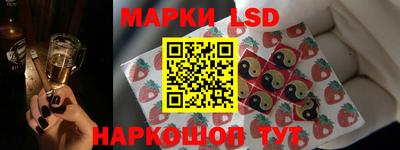 МДПВ Новокубанск