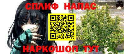 МДПВ Новокубанск