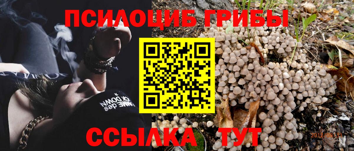 Псилоцибиновые грибы ЛСД Кореновск